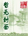 最佳女婿林凡杨雪